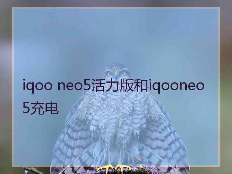 iqoo neo5活力版和iqooneo5充电