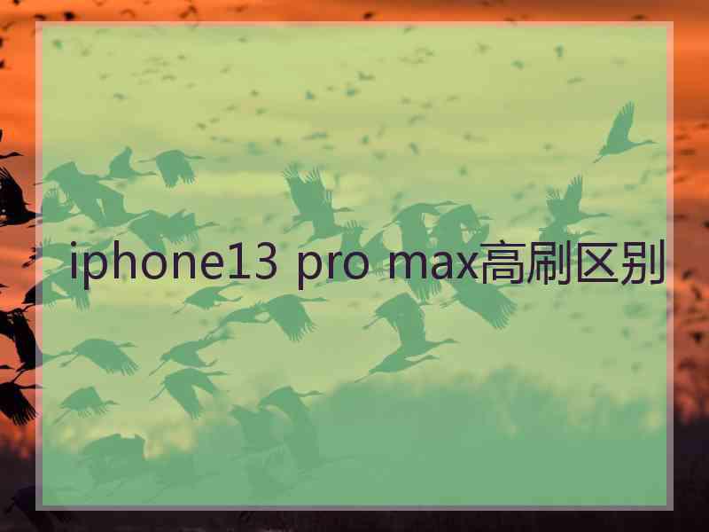 iphone13 pro max高刷区别