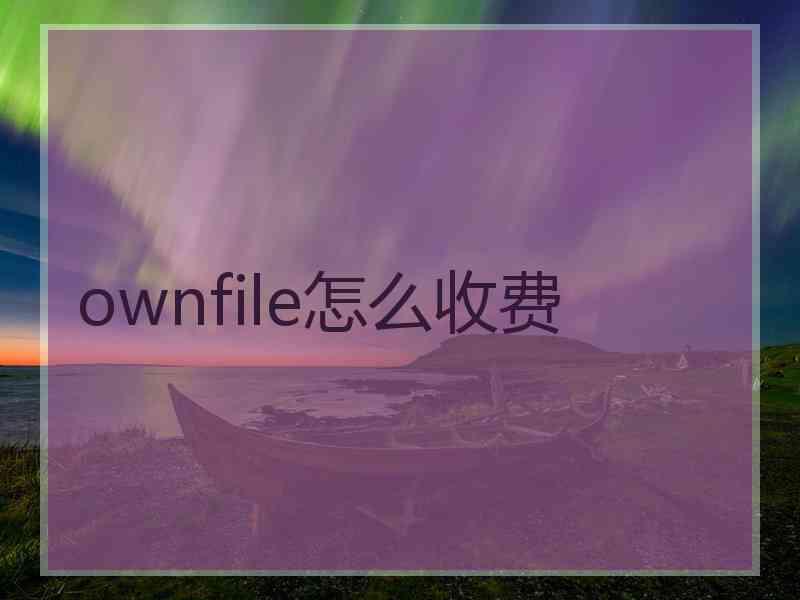 ownfile怎么收费