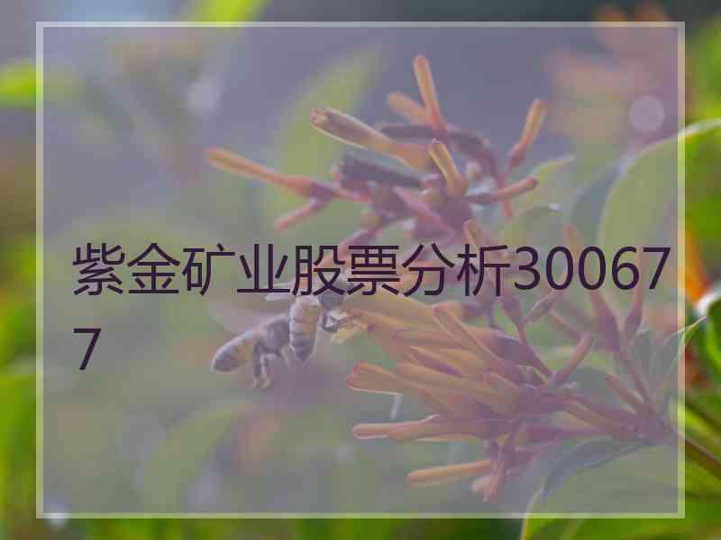 紫金矿业股票分析300677