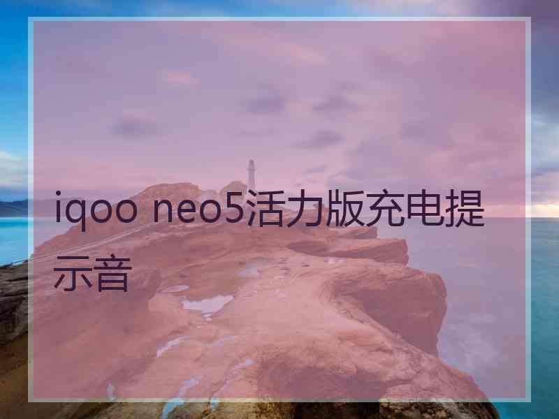 iqoo neo5活力版充电提示音