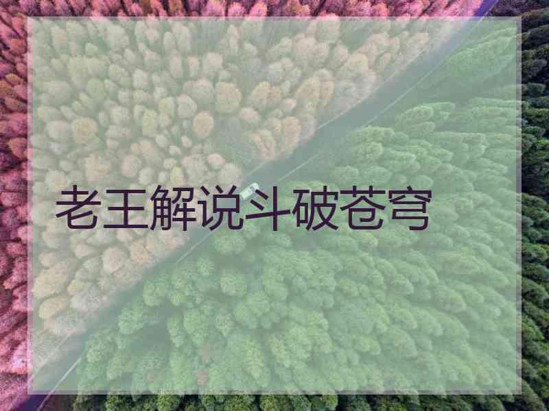 老王解说斗破苍穹