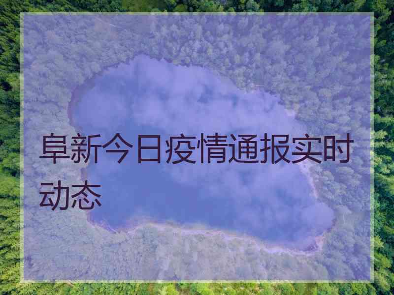 阜新今日疫情通报实时动态