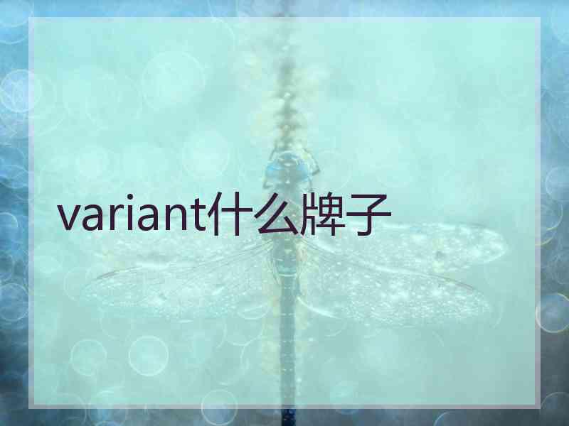 variant什么牌子