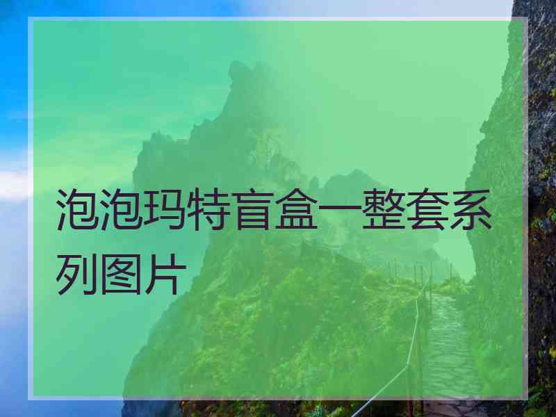 泡泡玛特盲盒一整套系列图片