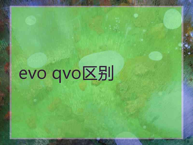 evo qvo区别