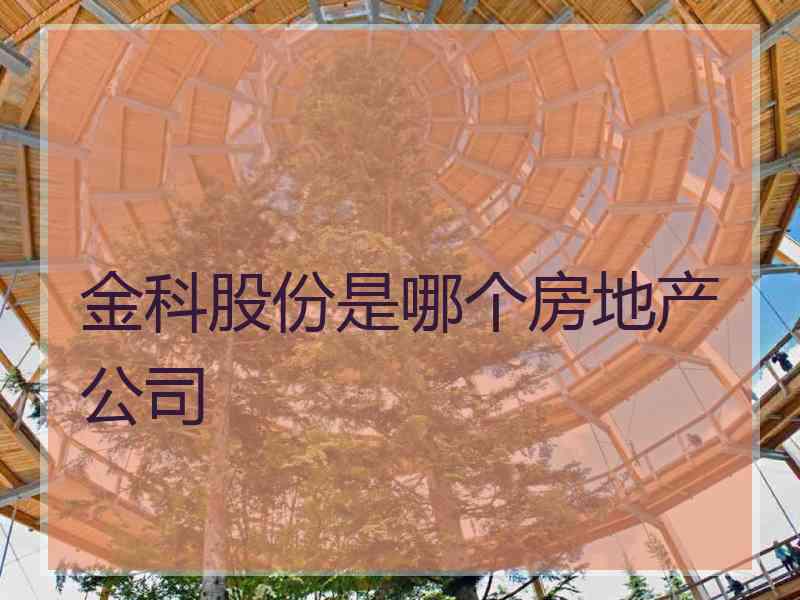 金科股份是哪个房地产公司