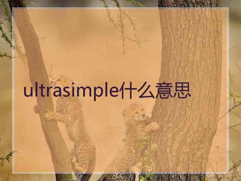 ultrasimple什么意思