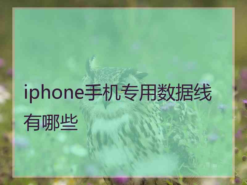 iphone手机专用数据线有哪些