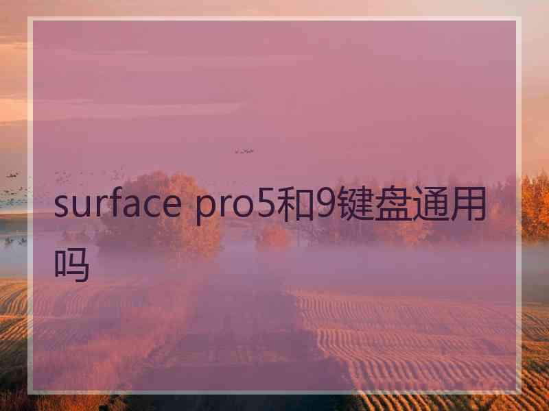 surface pro5和9键盘通用吗