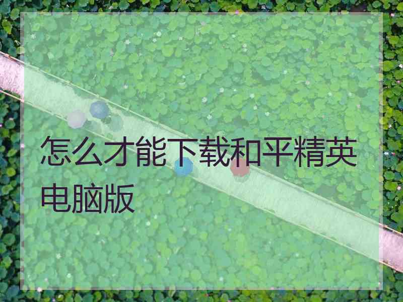 怎么才能下载和平精英电脑版