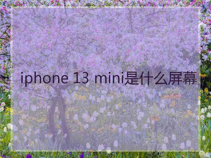 iphone 13 mini是什么屏幕