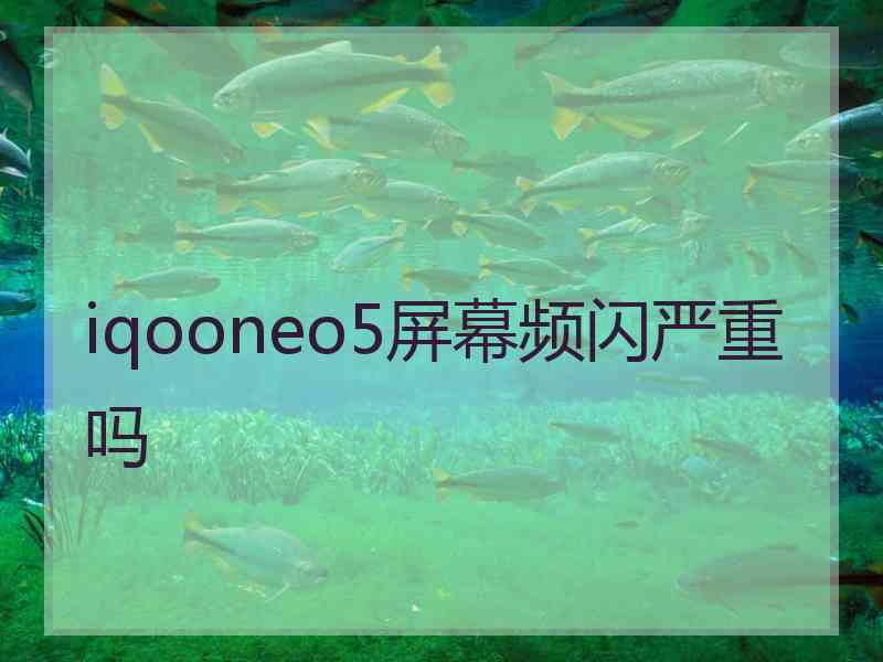 iqooneo5屏幕频闪严重吗