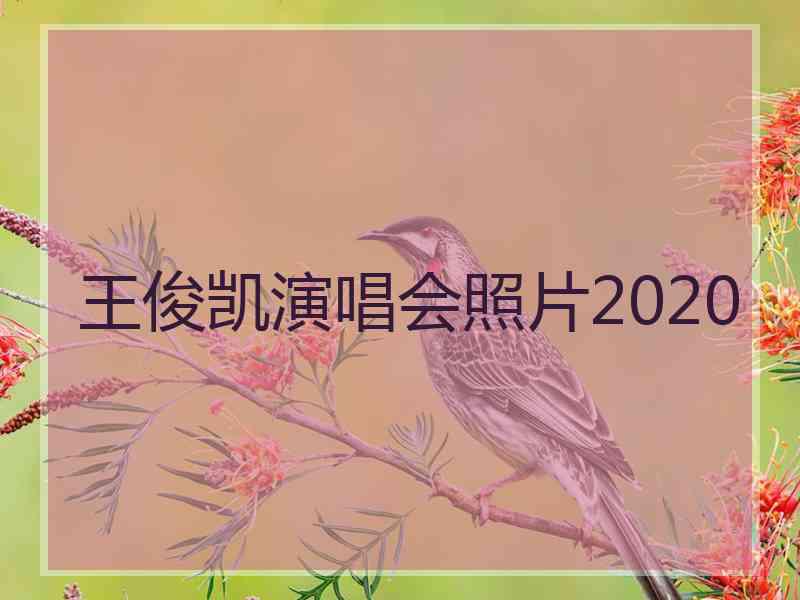 王俊凯演唱会照片2020