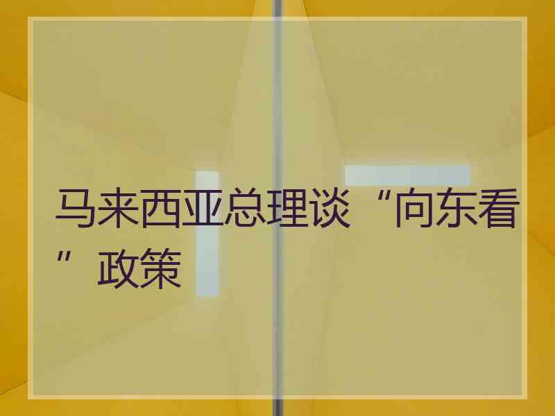 马来西亚总理谈“向东看”政策