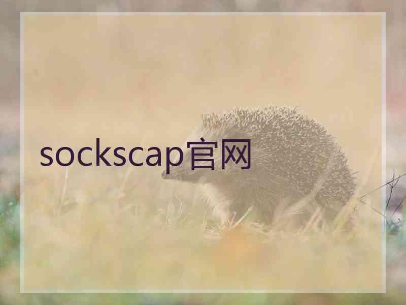 sockscap官网