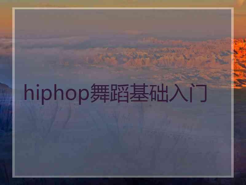 hiphop舞蹈基础入门