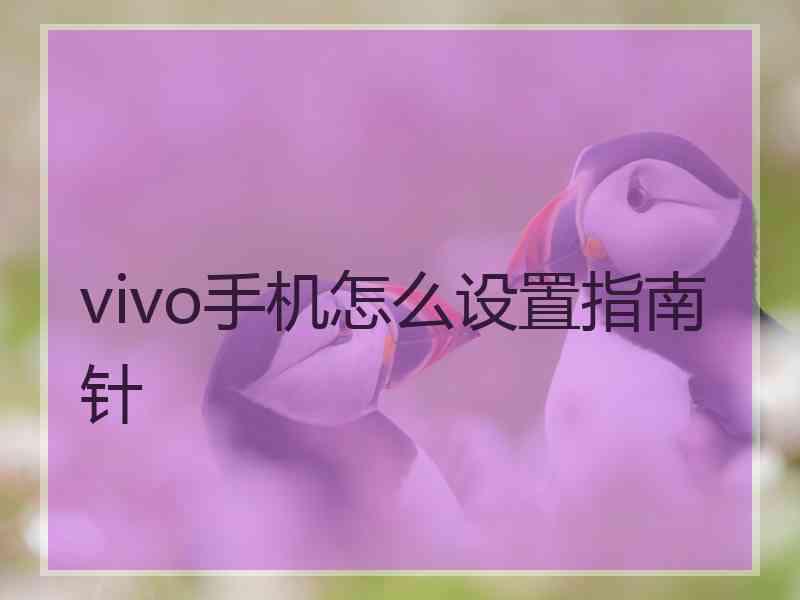 vivo手机怎么设置指南针