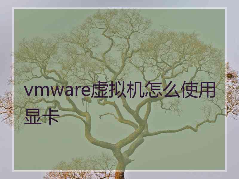 vmware虚拟机怎么使用显卡