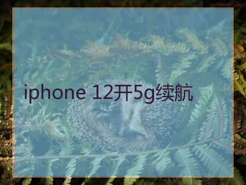 iphone 12开5g续航