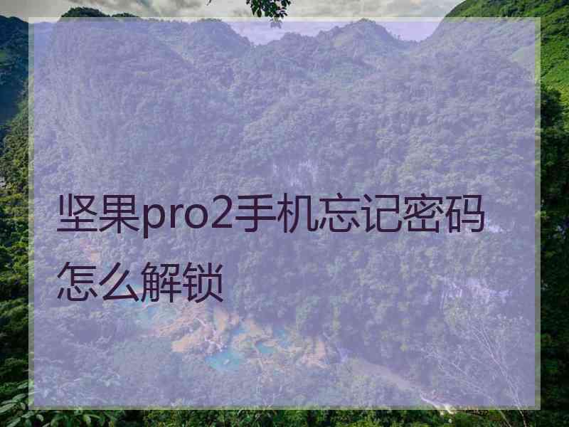 坚果pro2手机忘记密码怎么解锁