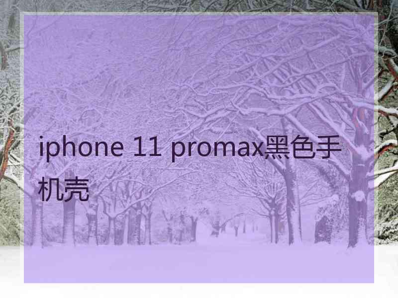 iphone 11 promax黑色手机壳