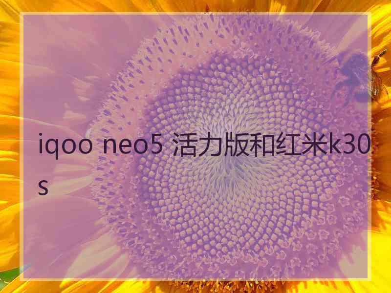 iqoo neo5 活力版和红米k30s