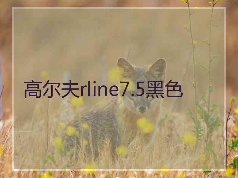 高尔夫rline7.5黑色