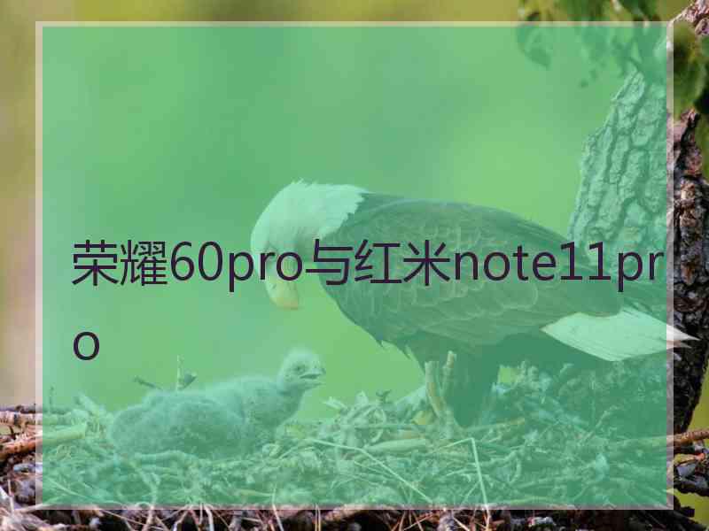 荣耀60pro与红米note11pro