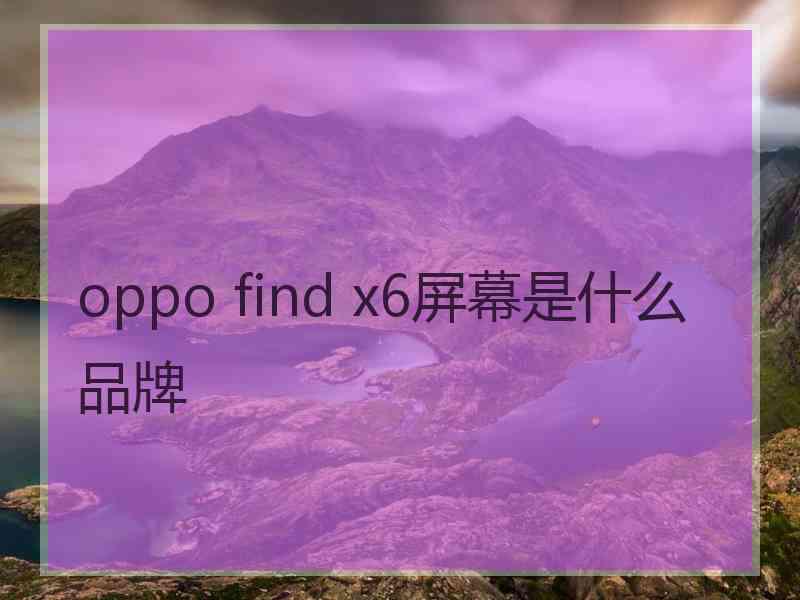 oppo find x6屏幕是什么品牌