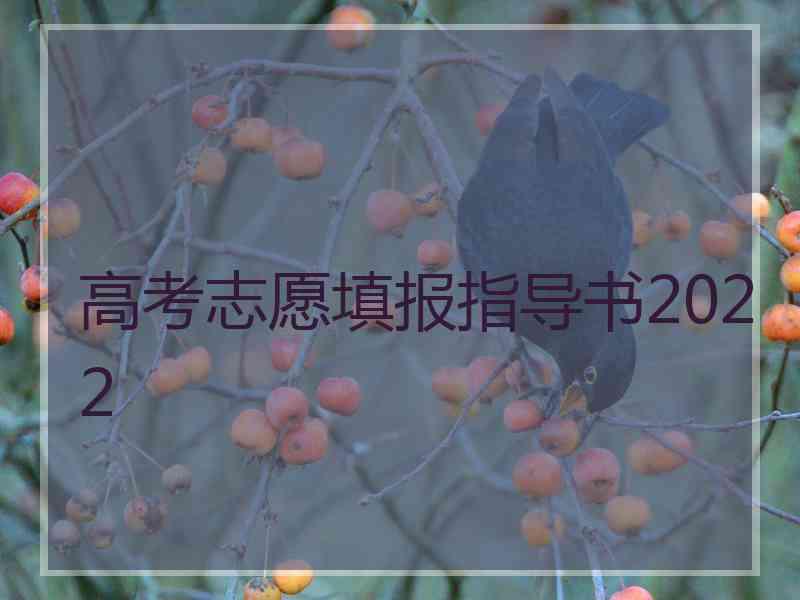 高考志愿填报指导书2022