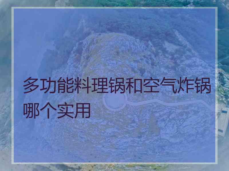 多功能料理锅和空气炸锅哪个实用