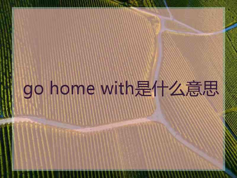 go home with是什么意思