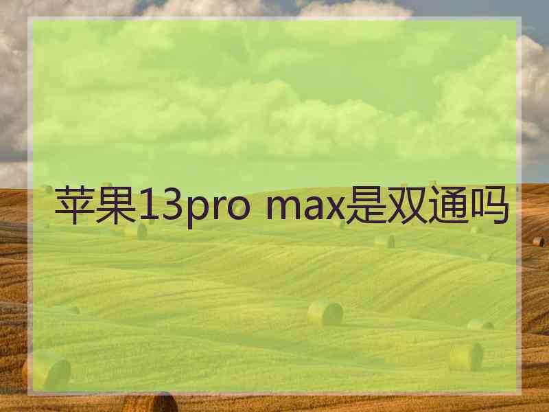 苹果13pro max是双通吗