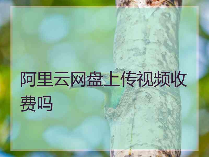 阿里云网盘上传视频收费吗