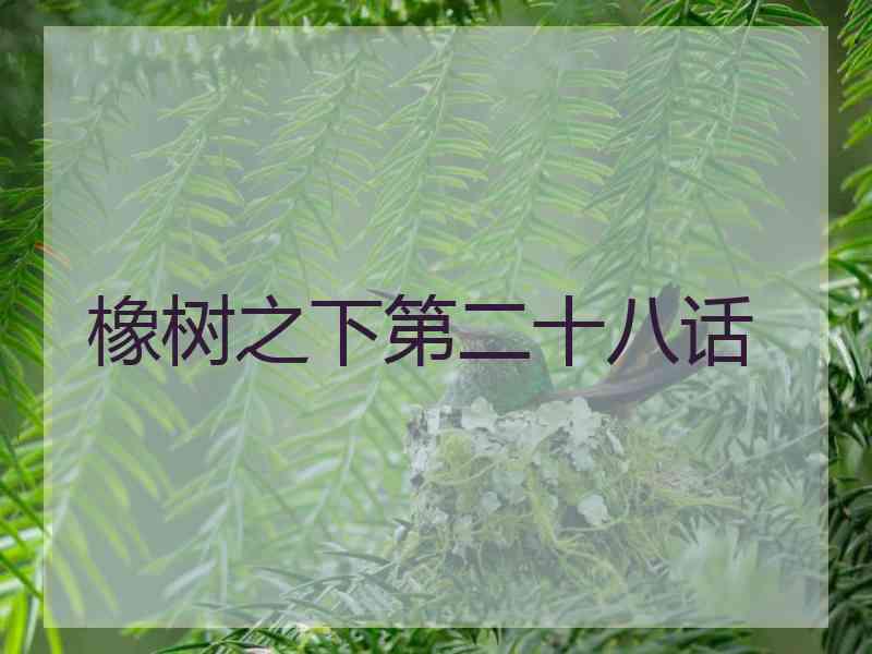 橡树之下第二十八话