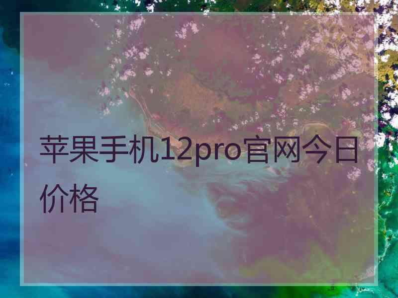 苹果手机12pro官网今日价格