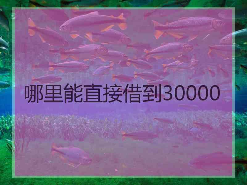 哪里能直接借到30000