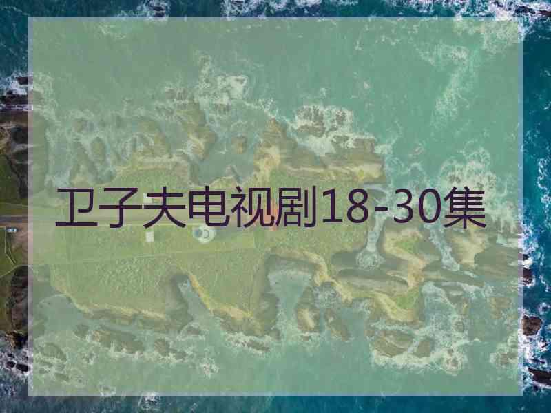 卫子夫电视剧18-30集