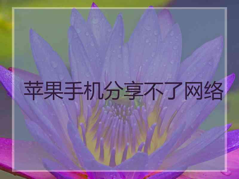 苹果手机分享不了网络