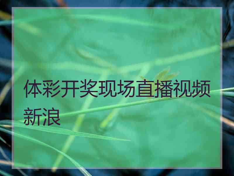 体彩开奖现场直播视频新浪