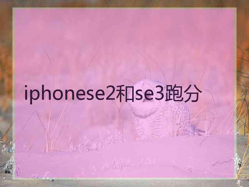 iphonese2和se3跑分