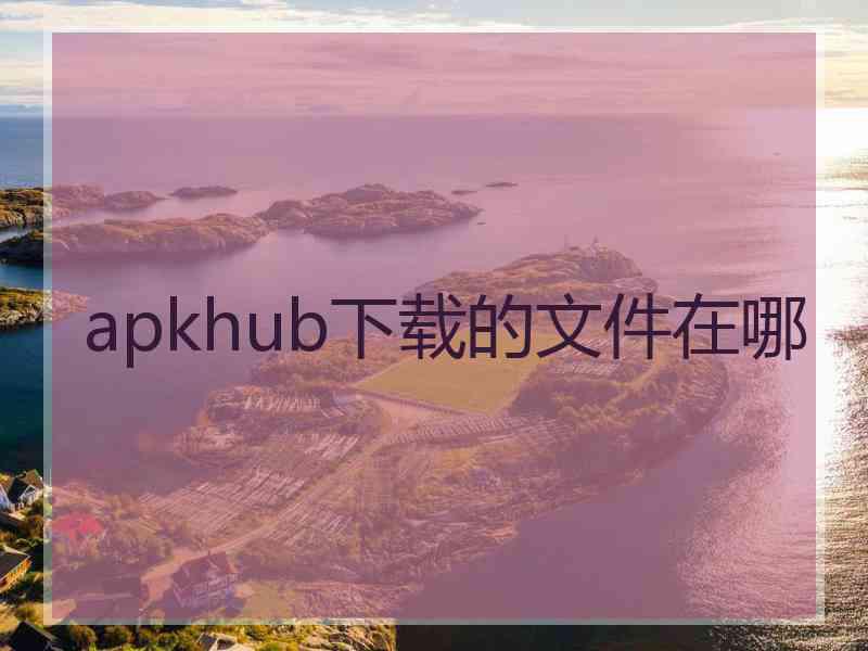 apkhub下载的文件在哪