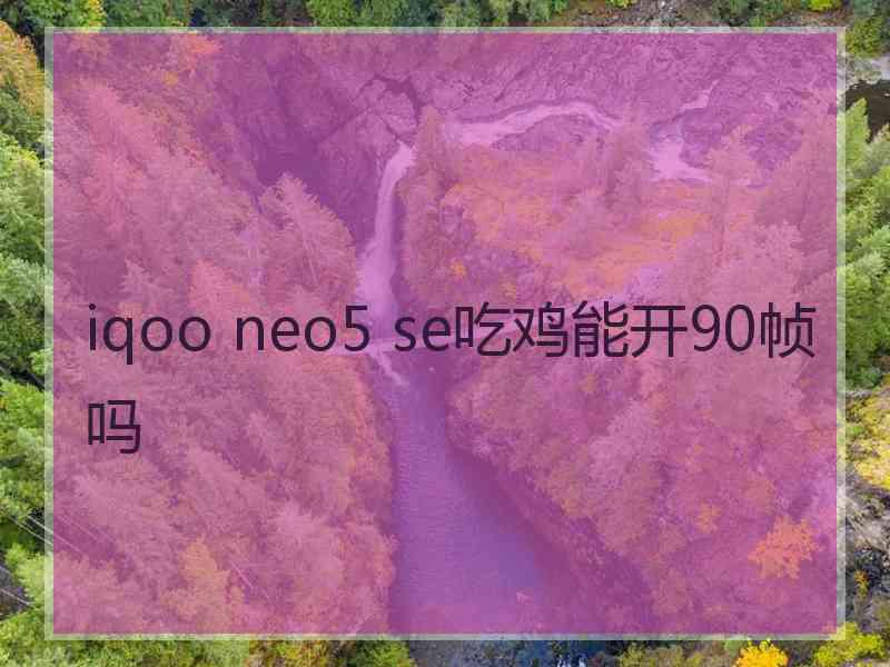 iqoo neo5 se吃鸡能开90帧吗