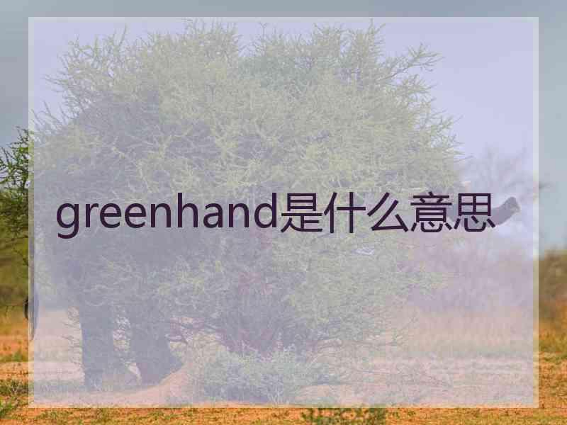 greenhand是什么意思