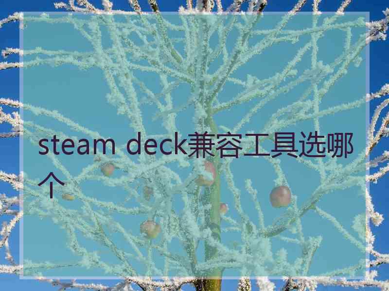 steam deck兼容工具选哪个