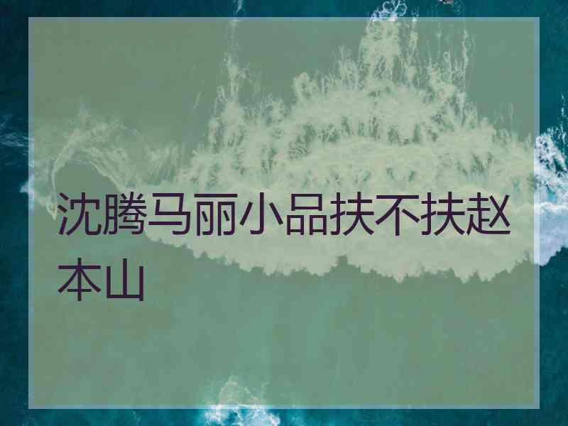 沈腾马丽小品扶不扶赵本山