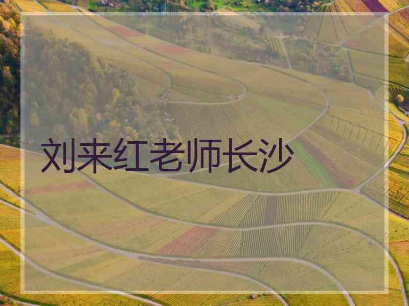 刘来红老师长沙