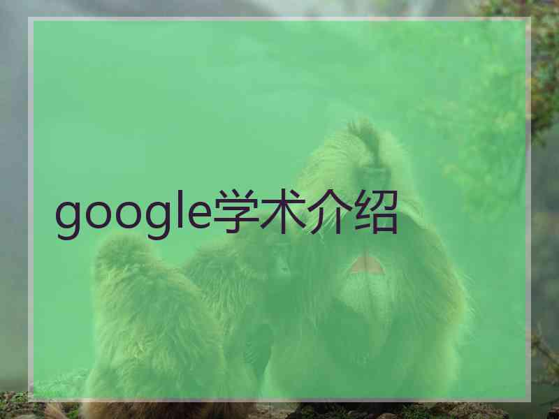 google学术介绍