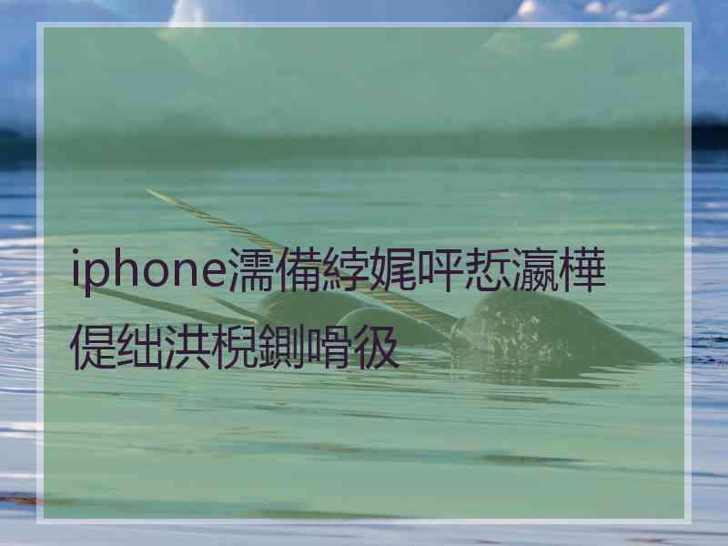 iphone濡備綍娓呯悊瀛樺偍绌洪棿鍘嗗彶